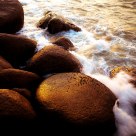 Reef